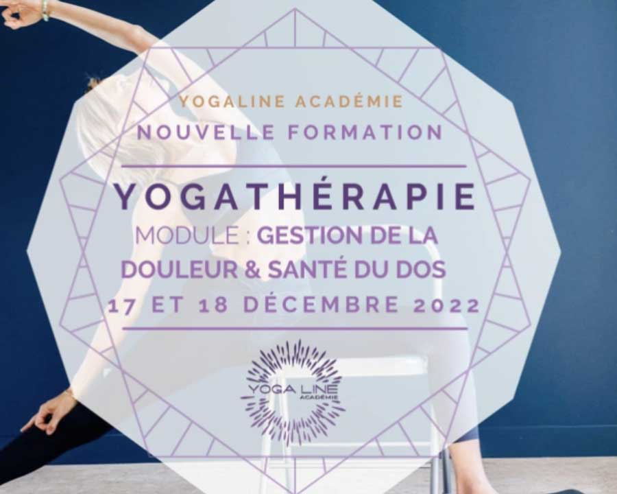 yogaline-academie-douleur-sante-du-dos