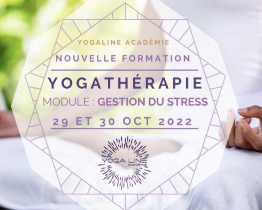 yogaline-academie-gestion-du-stress